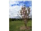 51 Old Coowong Road, Canyonleigh NSW 2577
