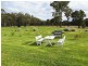 51 Old Coowong Road, Canyonleigh NSW 2577