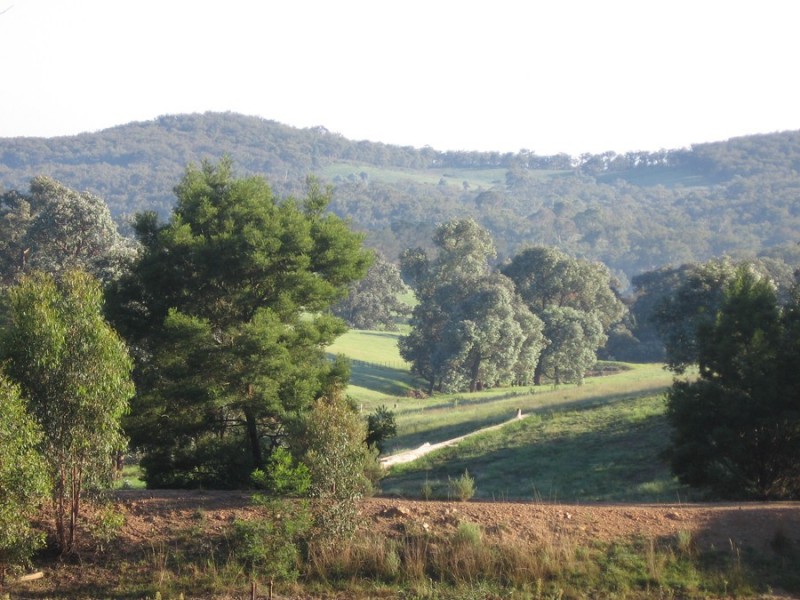 250 Bangadilly Road, Canyonleigh NSW 2577