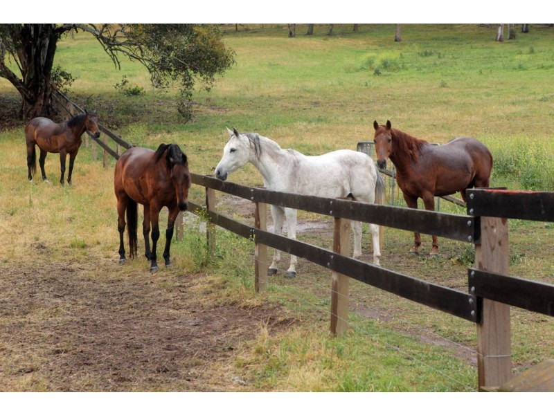 300 Hawkshill Road, Canyonleigh NSW 2577