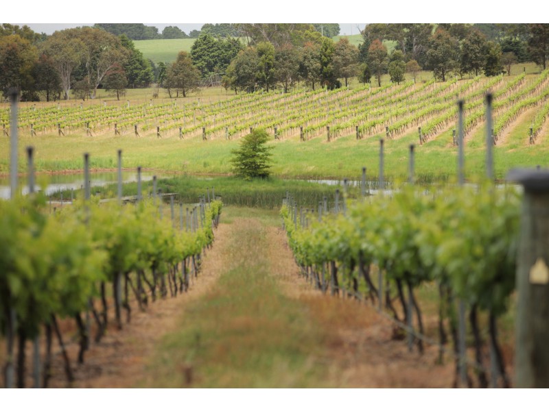 3131 Canyonleigh Rd, Sutton Forest NSW 2577