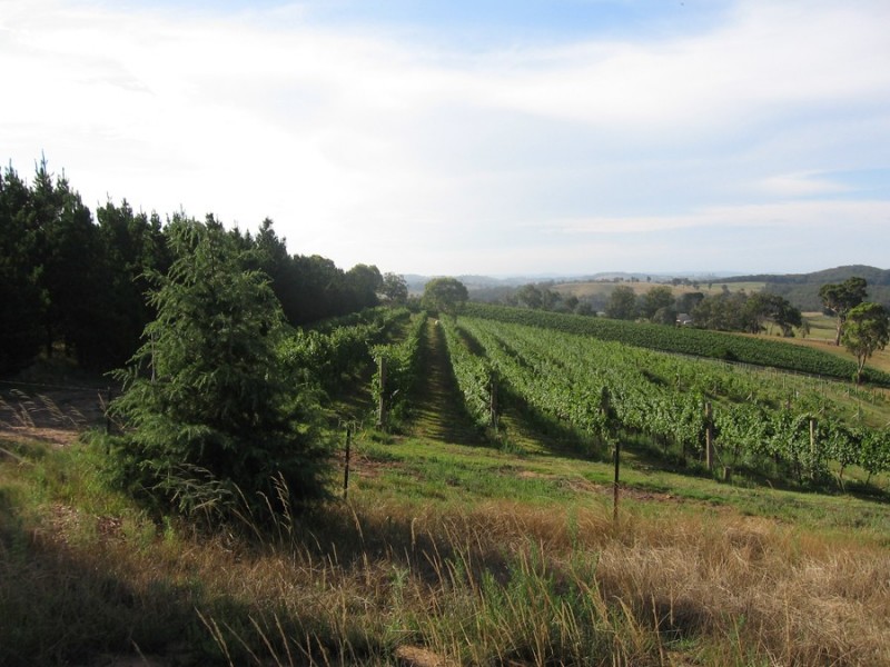 250 Bangadilly Rd Pygmy Hill Farmhouse Estate, Canyonleigh NSW 2577