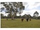 3171 Canyonleigh Rd, Sutton Forest NSW 2577