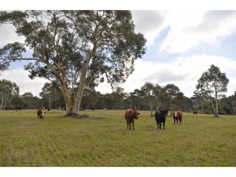 3171 Canyonleigh Rd, Sutton Forest NSW 2577