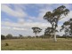3171 Canyonleigh Rd, Sutton Forest NSW 2577