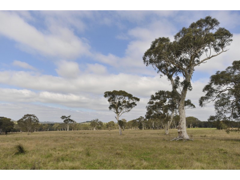 3171 Canyonleigh Rd, Sutton Forest NSW 2577