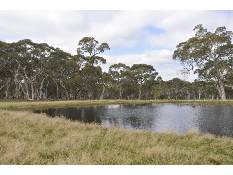 3171 Canyonleigh Rd, Sutton Forest NSW 2577