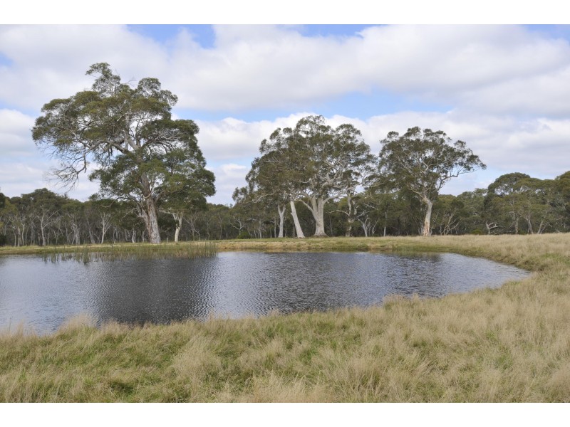 3171 Canyonleigh Rd, Sutton Forest NSW 2577