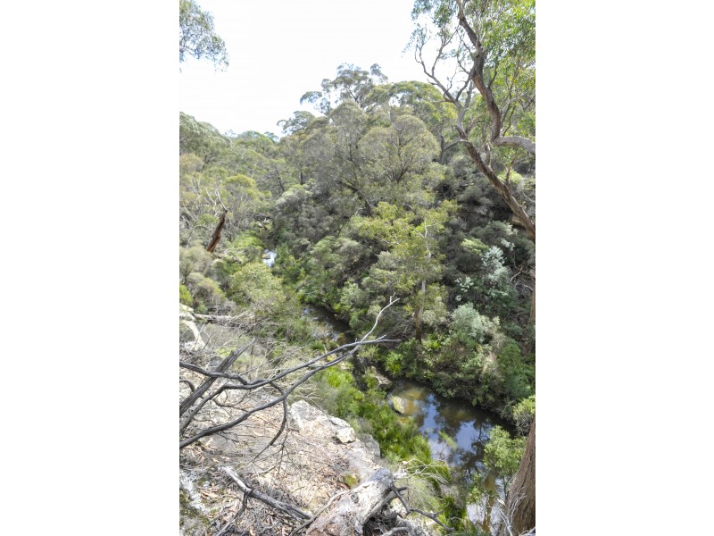 3171 Canyonleigh Rd, Sutton Forest NSW 2577