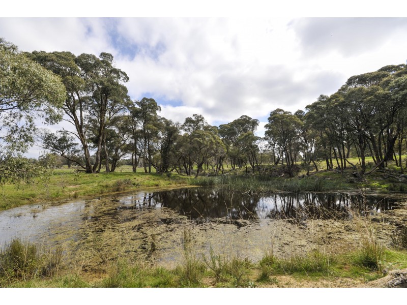 3171 Canyonleigh Rd, Sutton Forest NSW 2577