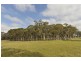 3171 Canyonleigh Rd, Sutton Forest NSW 2577