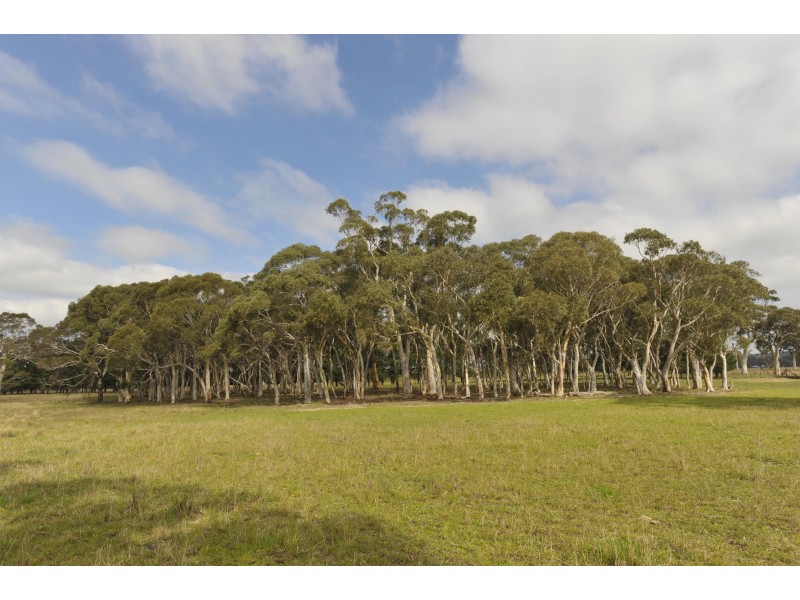 3171 Canyonleigh Rd, Sutton Forest NSW 2577