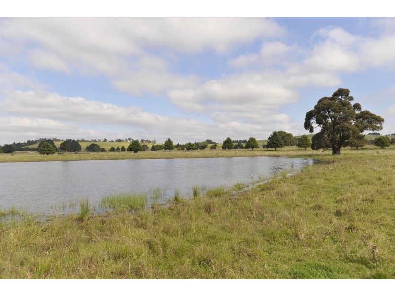 3133 Canyonleigh Rd, Sutton Forest NSW 2577