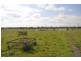 3133 Canyonleigh Rd, Sutton Forest NSW 2577