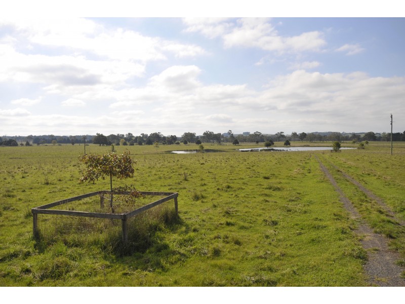 3133 Canyonleigh Rd, Sutton Forest NSW 2577