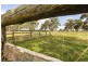 3133 Canyonleigh Rd, Sutton Forest NSW 2577