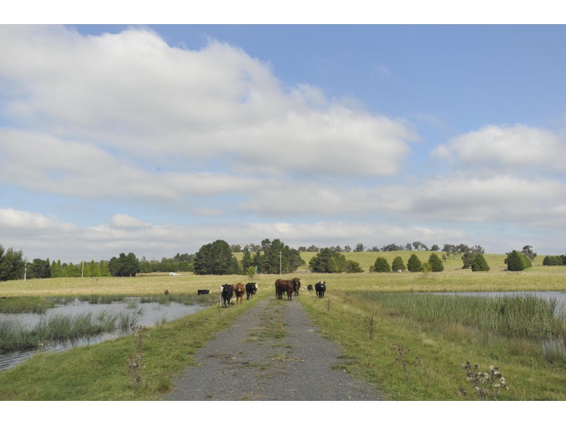 3133 Canyonleigh Rd, Sutton Forest NSW 2577