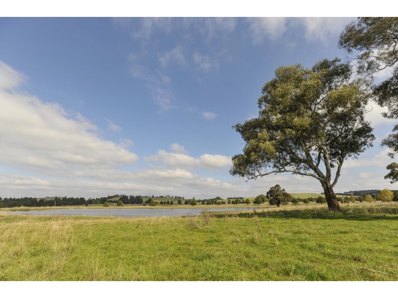 3133 Canyonleigh Rd, Sutton Forest NSW 2577