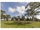 3133 Canyonleigh Rd, Sutton Forest NSW 2577