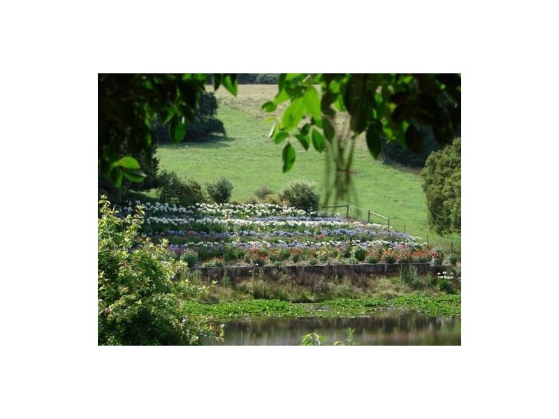 16 – 18 Lemmons Rd, Robertson NSW 2577