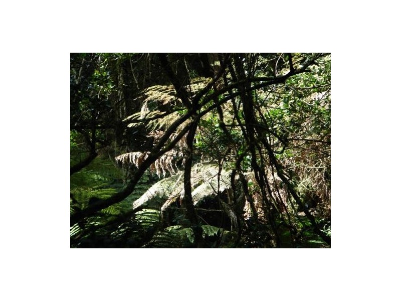 16 – 18 Lemmons Rd, Robertson NSW 2577