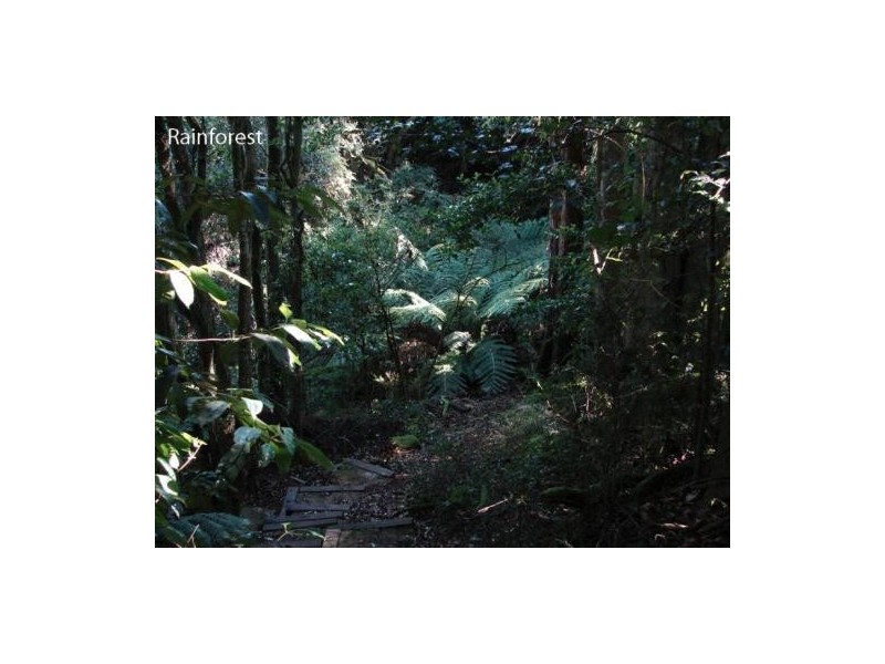 12 – 14 Lemmons Rd, Robertson NSW 2577