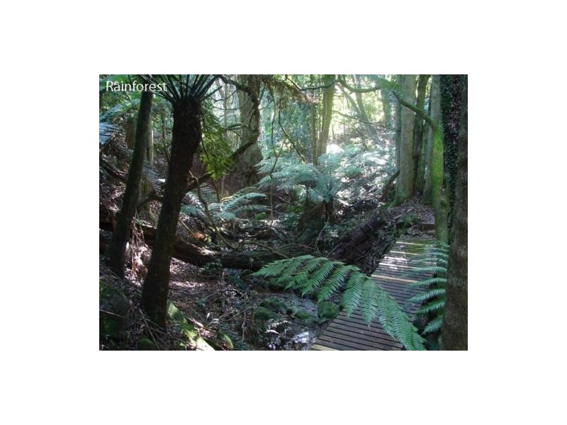 12 – 14 Lemmons Rd, Robertson NSW 2577