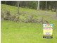 Maudsland QLD 4210
