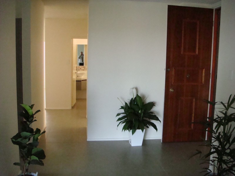 42 Dunmore Tce, Auchenflower QLD 4066