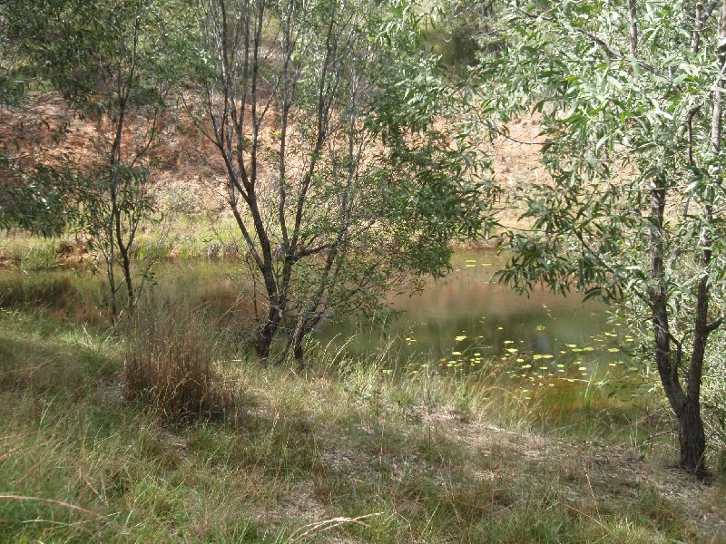 1 Hacker Road, Cashmere QLD 4500