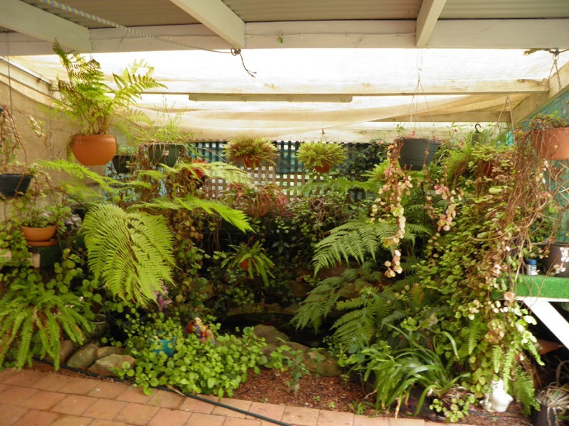 8 Greenmeadows Cres, Toongabbie NSW 2146
