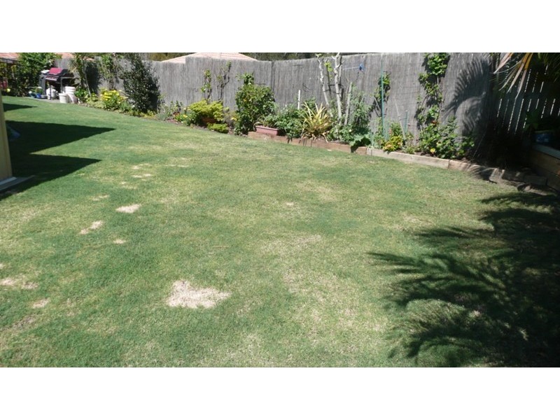 13 Cassim Place, Redland Bay QLD 4165