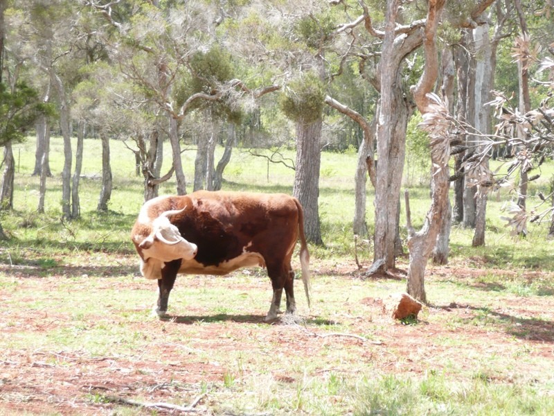 71 – 81 Lagoon View Road, Redland Bay QLD 4165