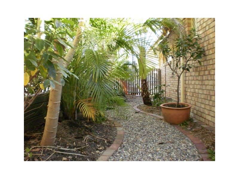 8 Eucalyptus Court, Capalaba QLD 4157