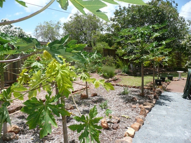 12 Albatross Street, Victoria Point QLD 4165