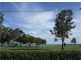 7 Eagle Street, Victoria Point QLD 4165