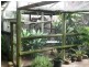 121 Point O’Halloran Road, Victoria Point QLD 4165