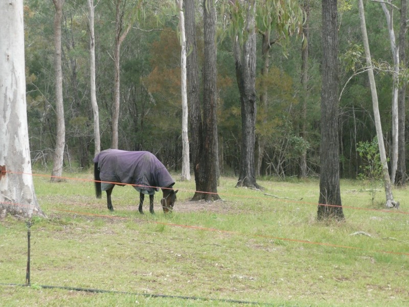 134 Shoeck Road, Sheldon QLD 4157