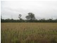 Rosewood QLD 4340