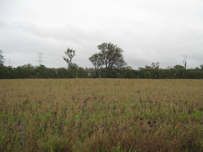 Rosewood QLD 4340