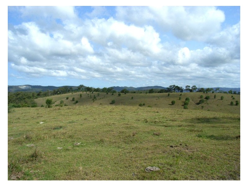Wolffdene QLD 4207