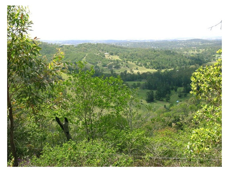 Wolffdene QLD 4207
