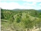 Wolffdene QLD 4207