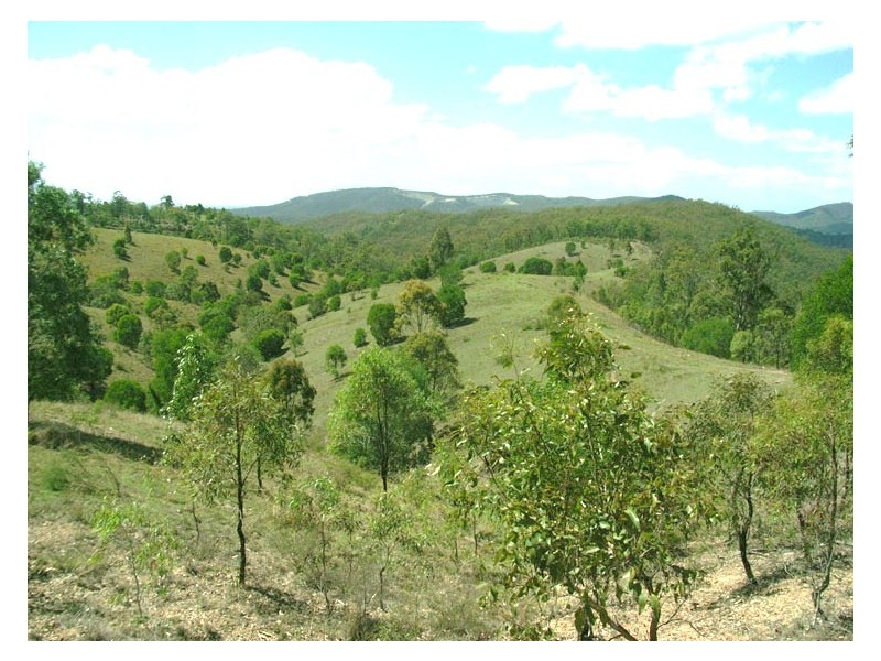 Wolffdene QLD 4207
