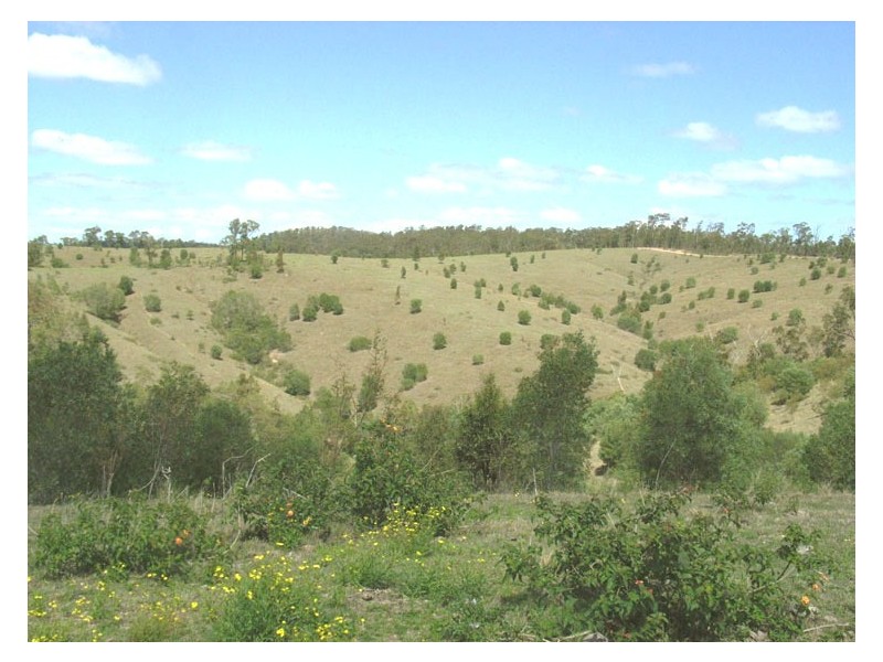 Wolffdene QLD 4207