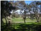 9/84 Leaney Ct (off Moculta Rd), Angaston SA 5353