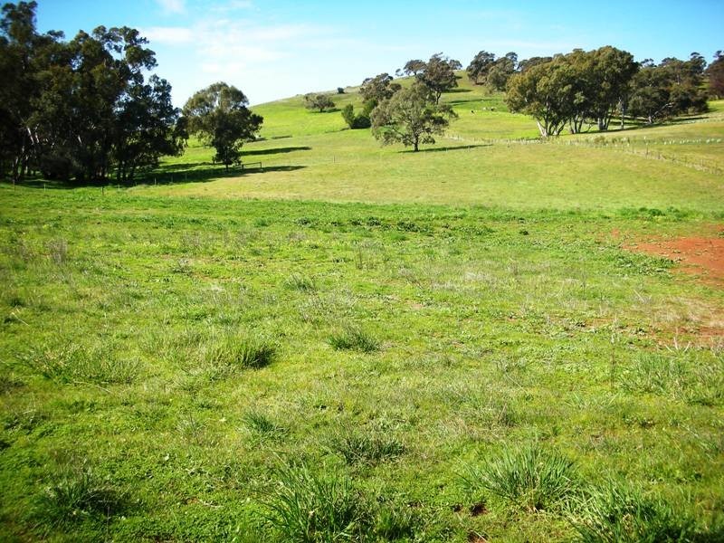 11/70 Leaney Ct (off Moculta Rd), Angaston SA 5353