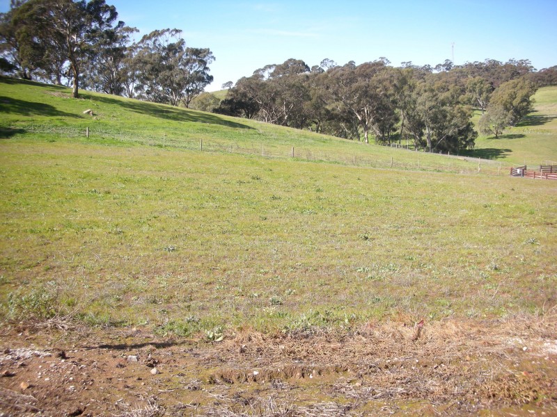 4/70-84 Moculta Road, Angaston SA 5353