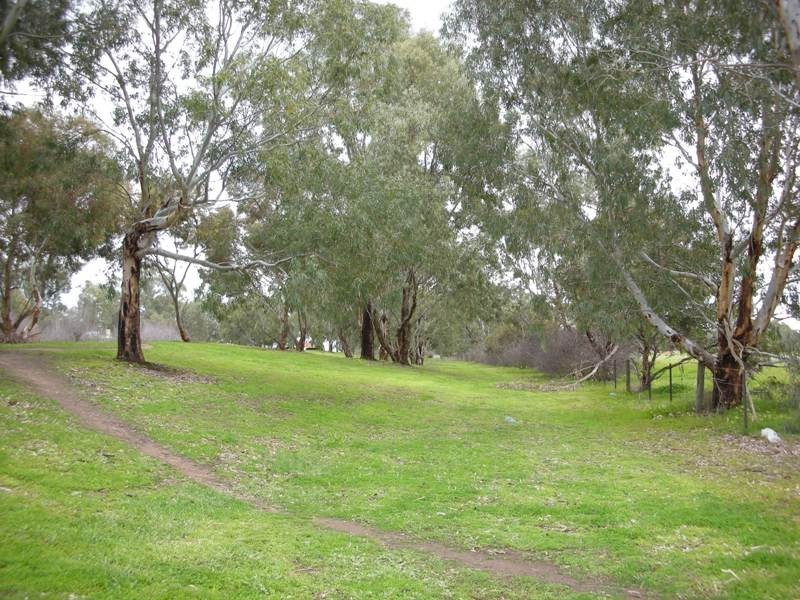 4 Kaesler Drive, Nuriootpa SA 5355