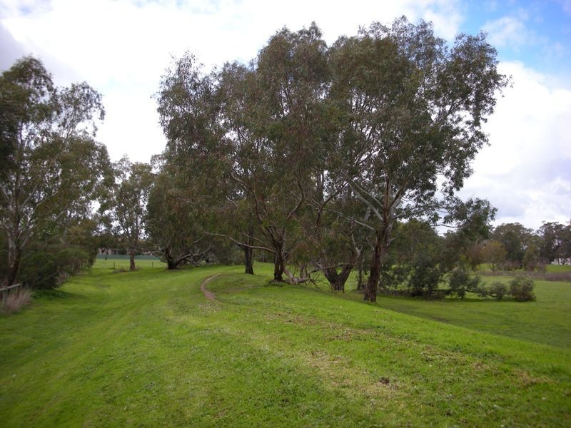 5 Kaesler Drive, Nuriootpa SA 5355